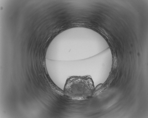 X0000087640377200705181531