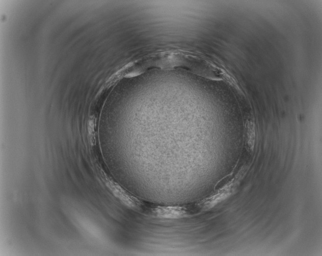 X0000087640378200705181531