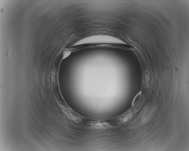 X0000087640379200705181531