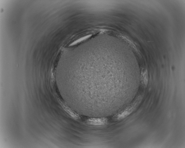 X0000087640381200705181531