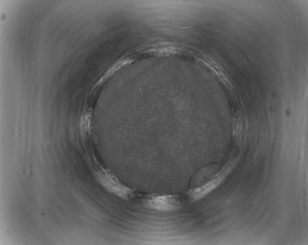 X0000087640382200705181531