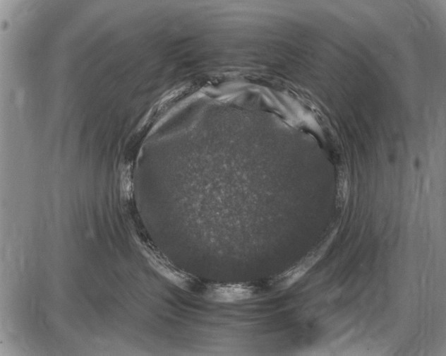 X0000087640383200705181531