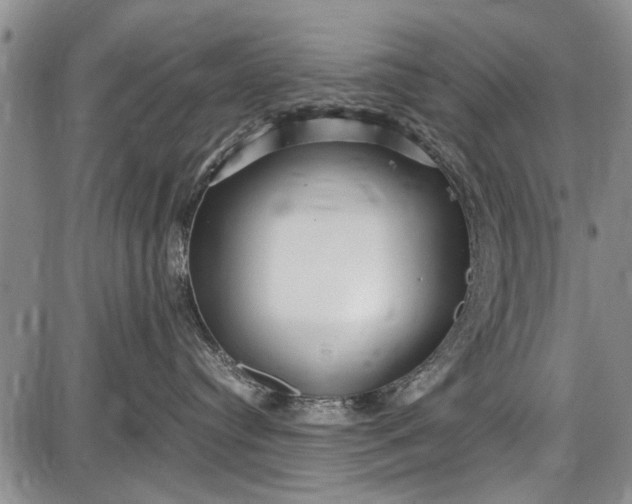 X0000087640384200705181531