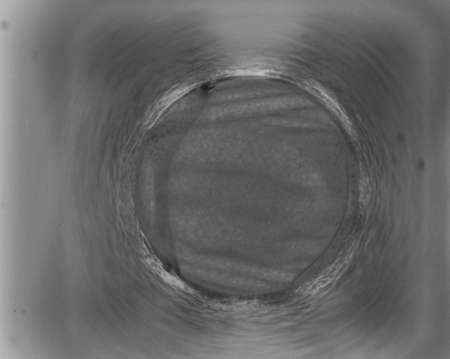 X0000087640385200705181531