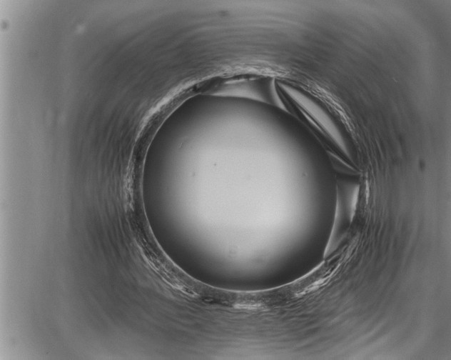 X0000087640388200705181531