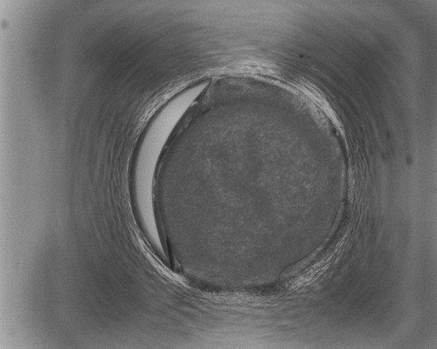 X0000087640389200705181531