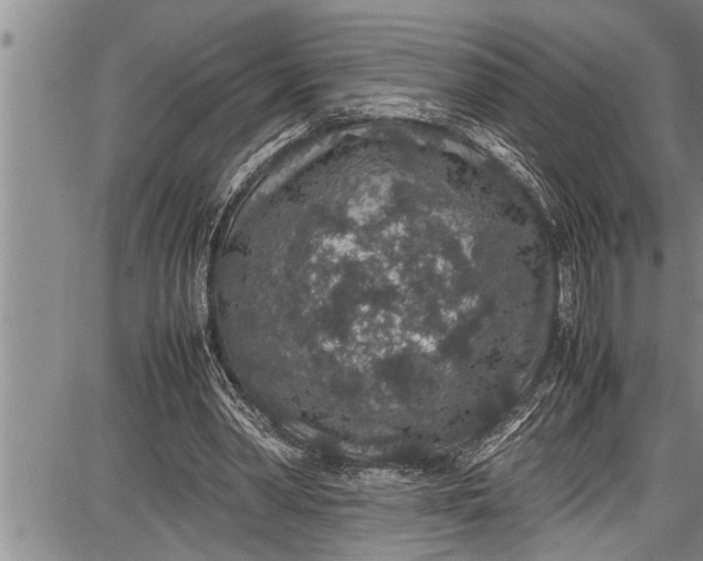 X0000087640390200705181531