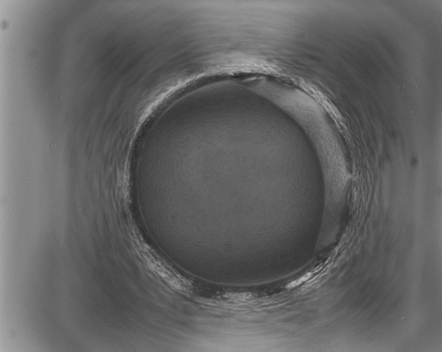 X0000087640391200705181531