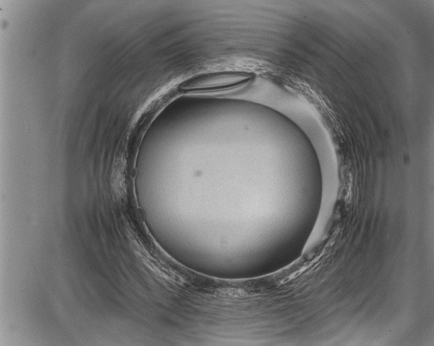 X0000087640392200705181531