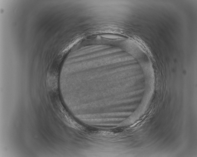 X0000087640393200705181531