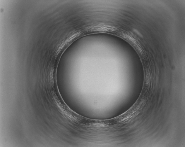 X0000087640394200705181531