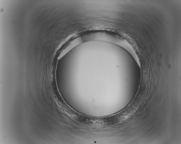 X0000087640395200705181531