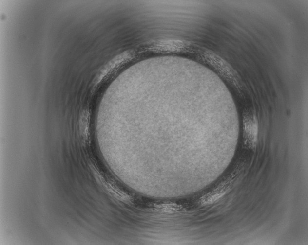 X0000087640396200705181531