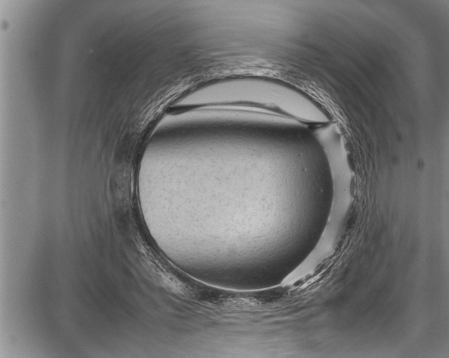 X0000087640397200705181531