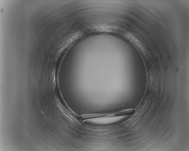 X0000087640398200705181530