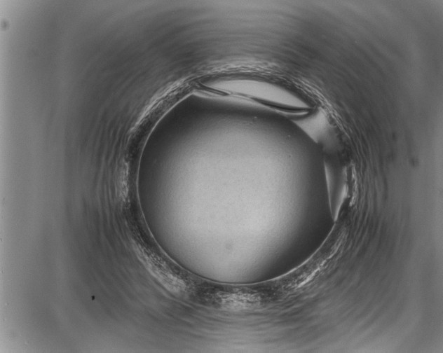 X0000087640400200705181530