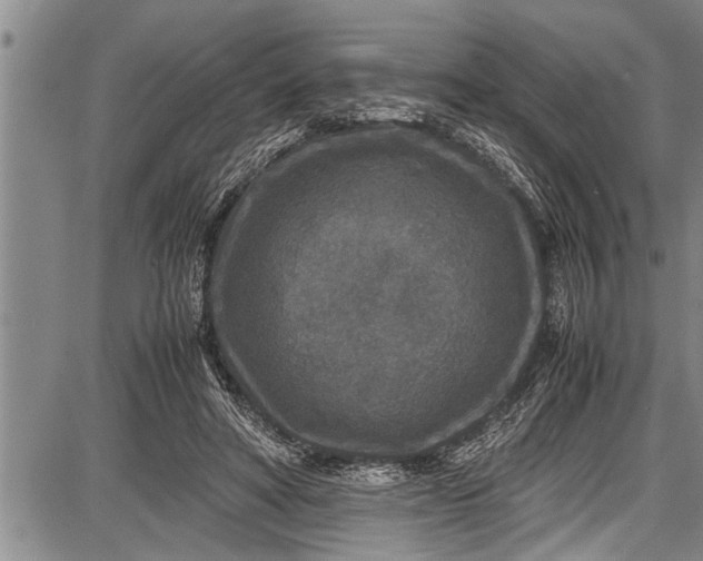 X0000087640402200705181530