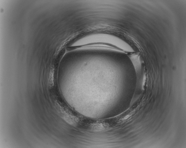 X0000087640404200705181530