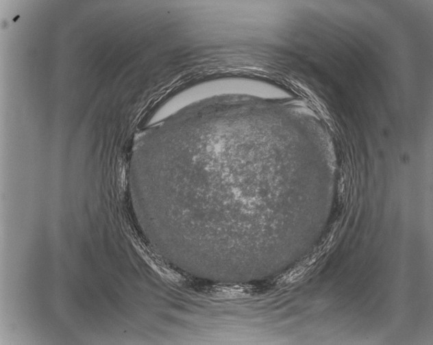 X0000087640405200705181530