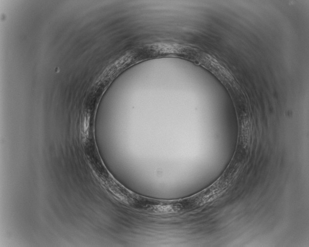 X0000087640406200705181530