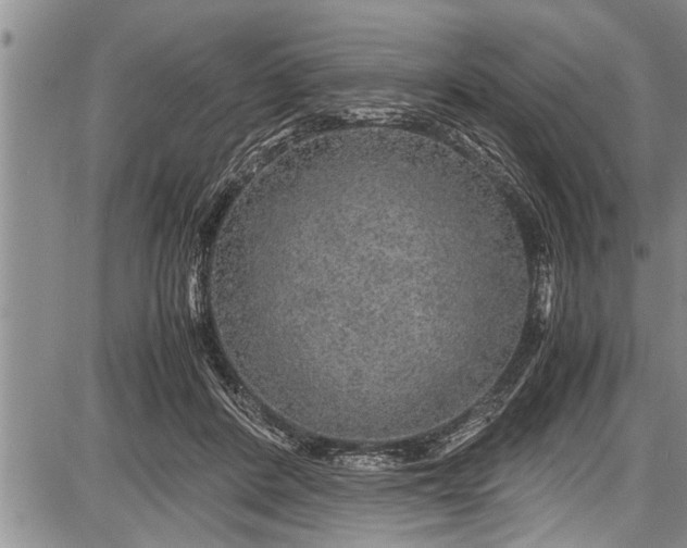 X0000087640408200705181530