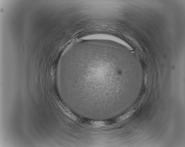 X0000087640409200705181530