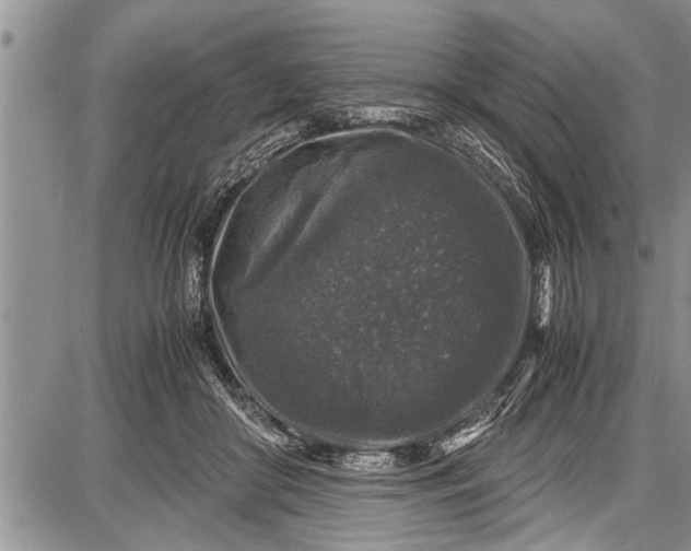 X0000087640410200705181530