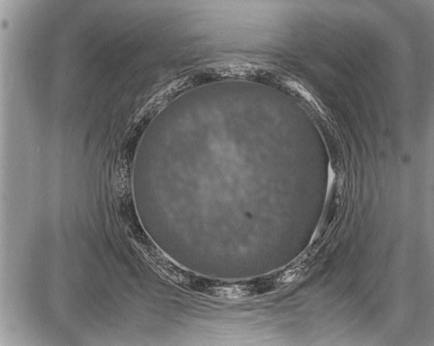 X0000087640411200705181530