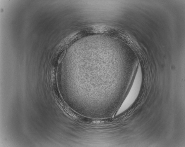 X0000087640413200705181530