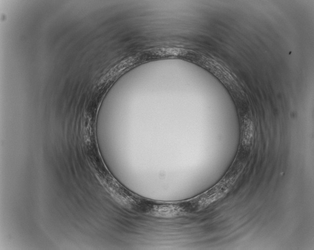 X0000087640414200705181530