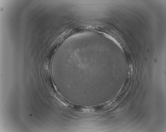 X0000087640415200705181530