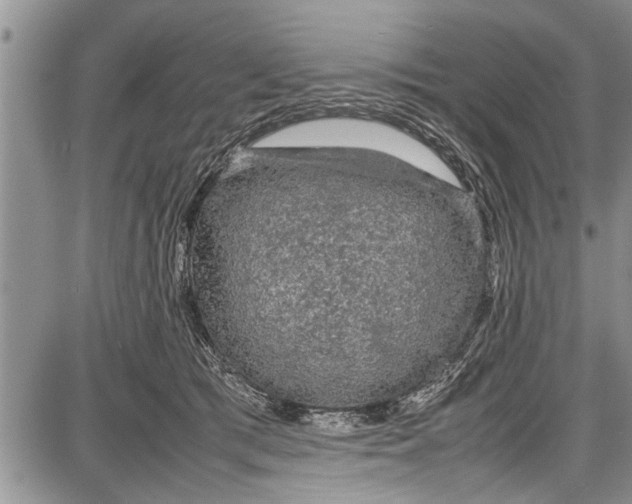 X0000087640417200705181530