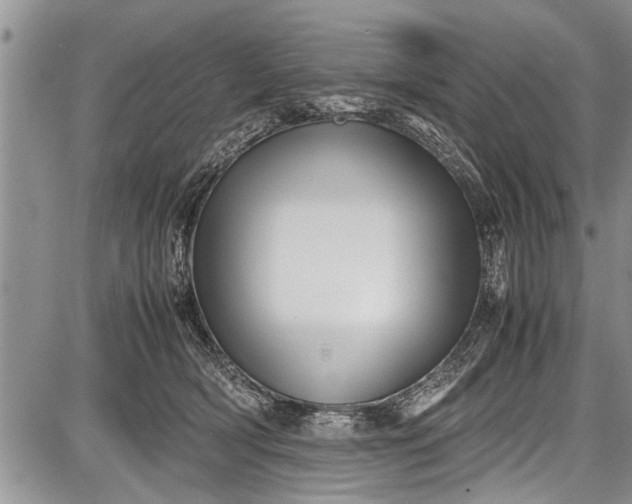 X0000087640418200705181530