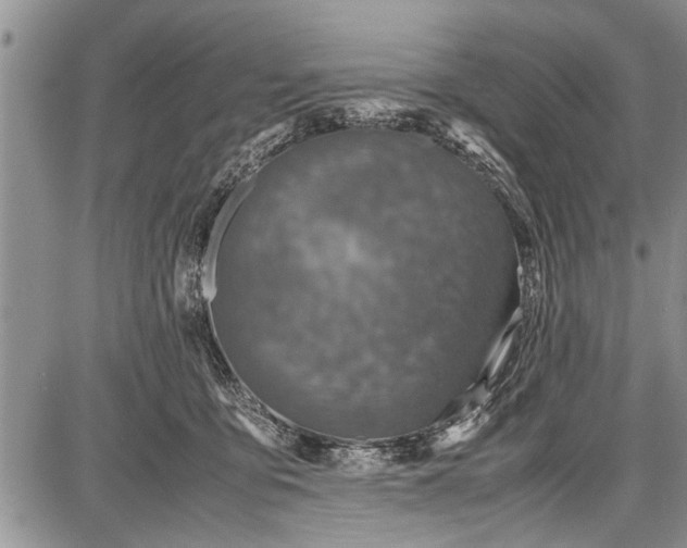 X0000087640419200705181530