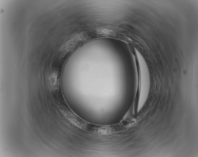 X0000087640420200705181530