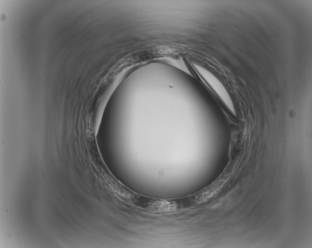 X0000087640421200705181530