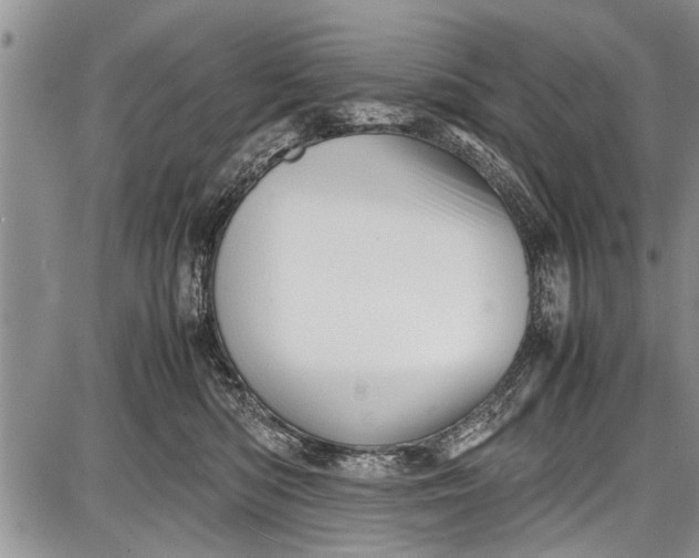 X0000087640422200705181530