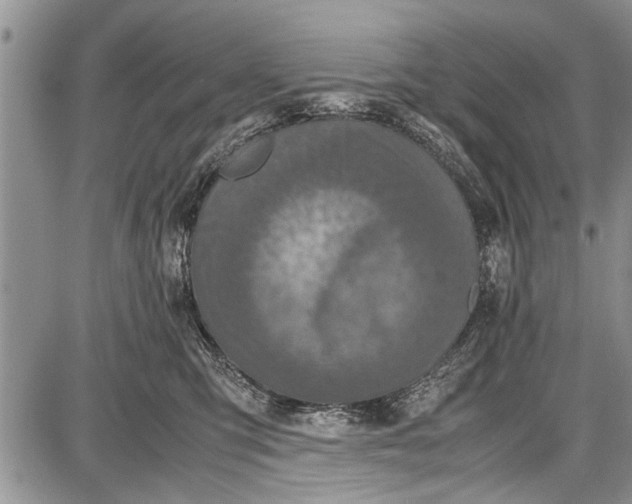 X0000087640423200705181530