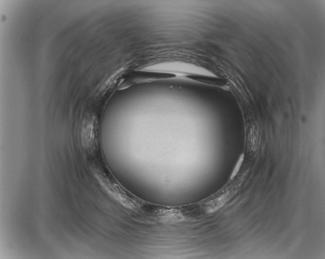 X0000087640424200705181530