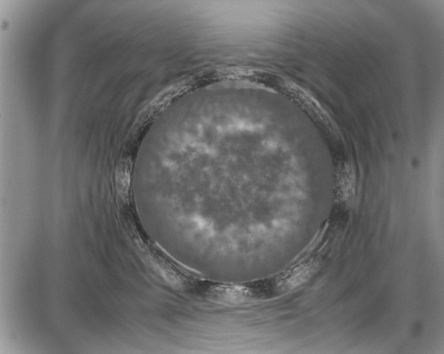 X0000087640427200705181530