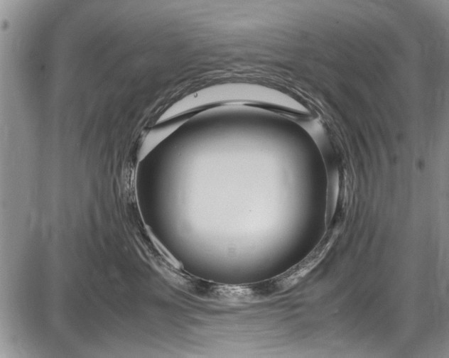 X0000087640429200705181530