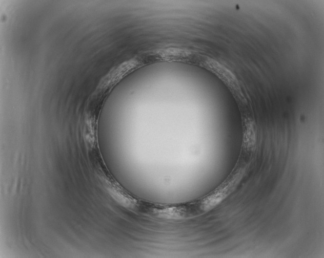 X0000087640430200705181530