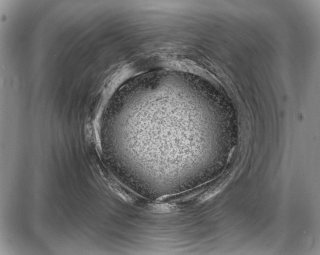 X0000087640432200705181530