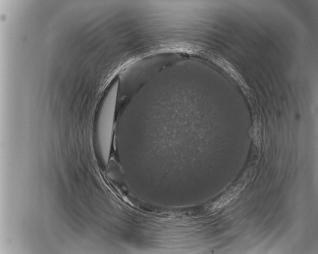 X0000087640434200705181529