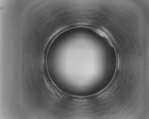 X0000087640435200705181529