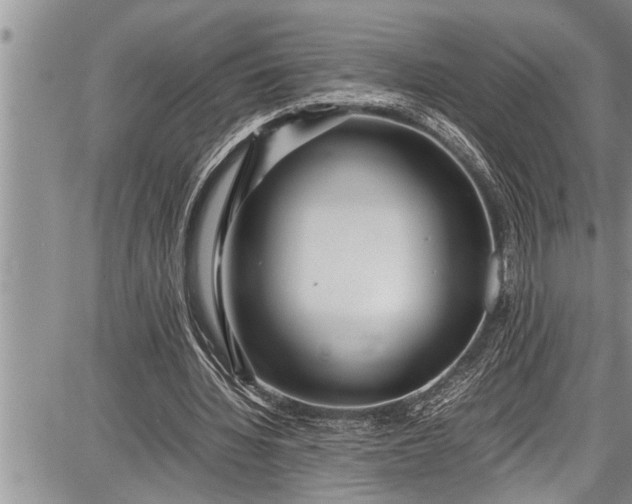 X0000087640436200705181529