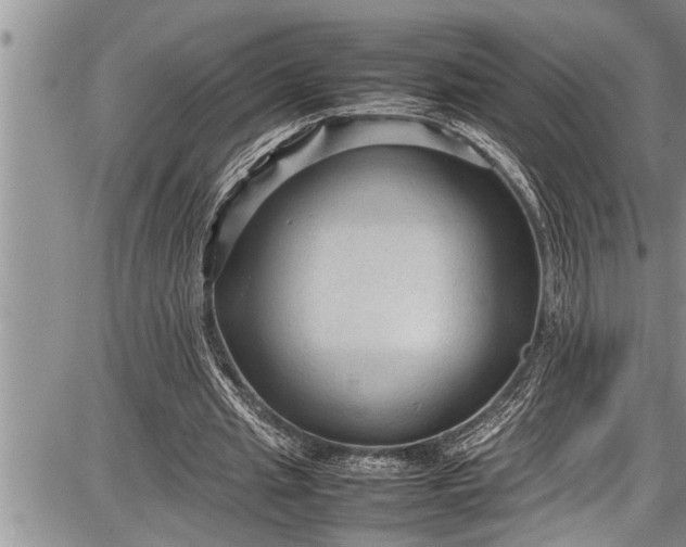 X0000087640437200705181529