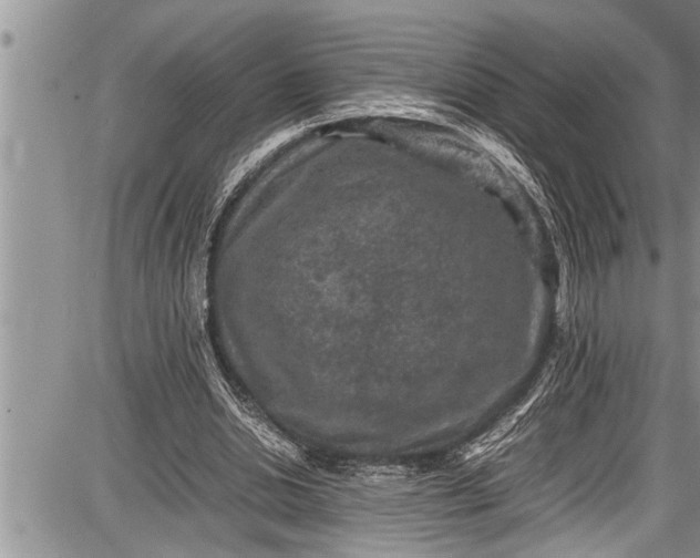 X0000087640438200705181529