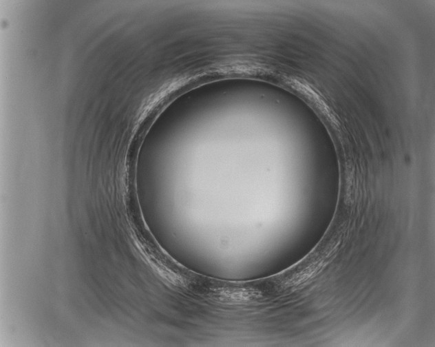 X0000087640439200705181529