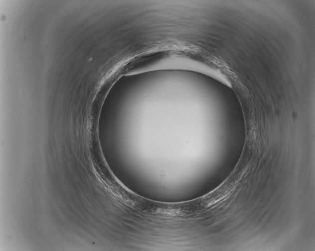 X0000087640440200705181529